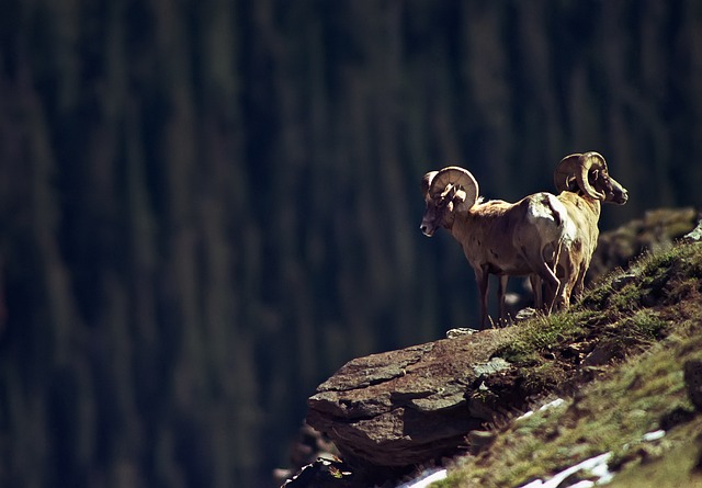 Western Slope of Colorado